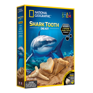 Ng Shark Tooth