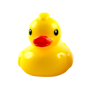 SQUISHI DUCK